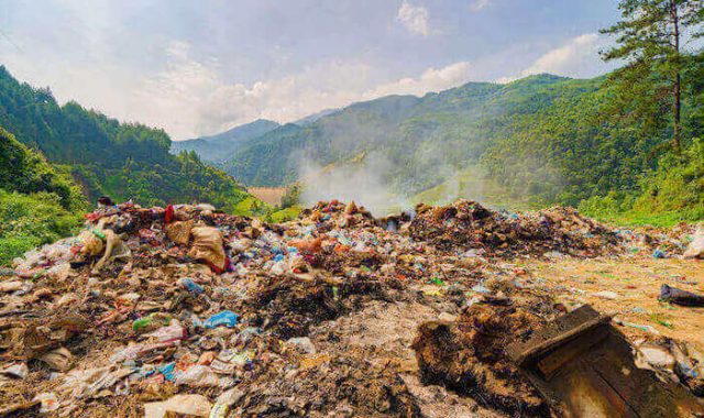 reati ambientali impugnabile prescrizione impartita Carabinieri Forestali