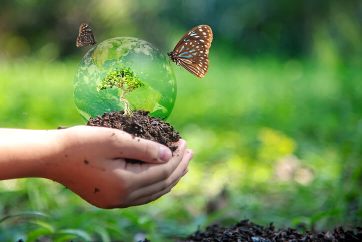 Giornata mondiale della biodiversità 2025: dare ritmo al tempo che passa, con domande che fanno pensare