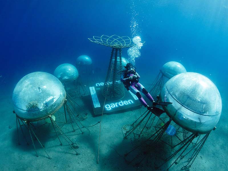 Agricoltura subacquea, la sfida ligure possibile di Nemo’s Garden