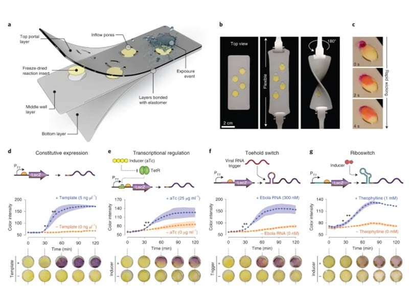 Covid-19, ecco la mascherina che rileva i virus in 90 minuti