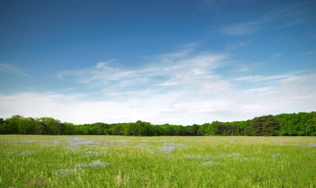 Consumo di suolo in Italia