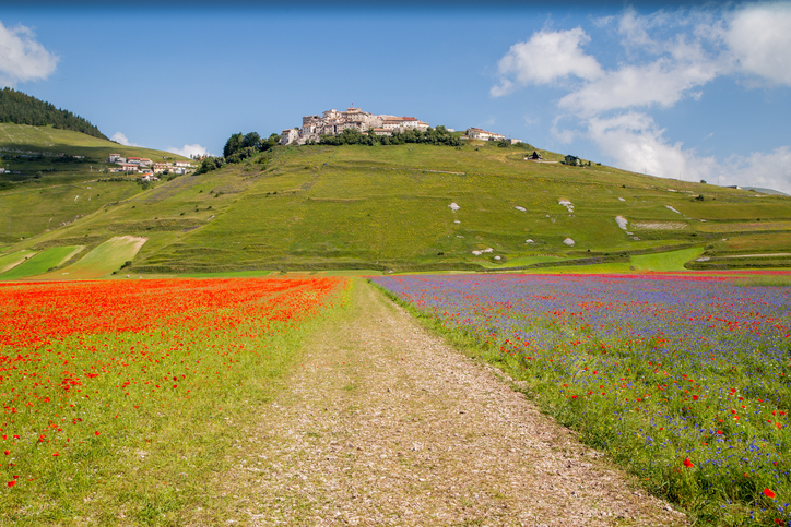 Sisma 2016, operativo il nuovo Prezzario del Cratere 2022