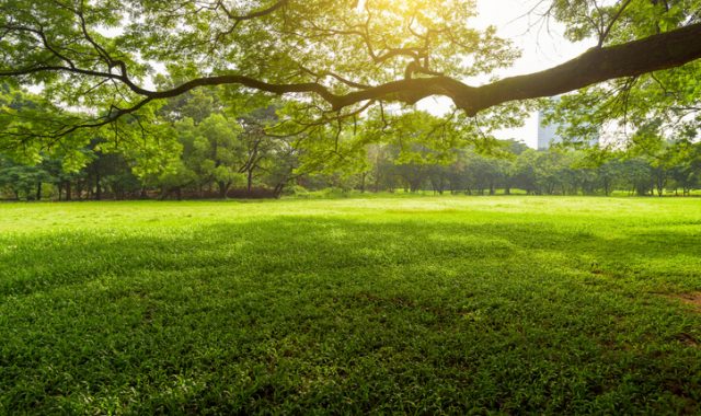 IMU verde pubblico attrezzato