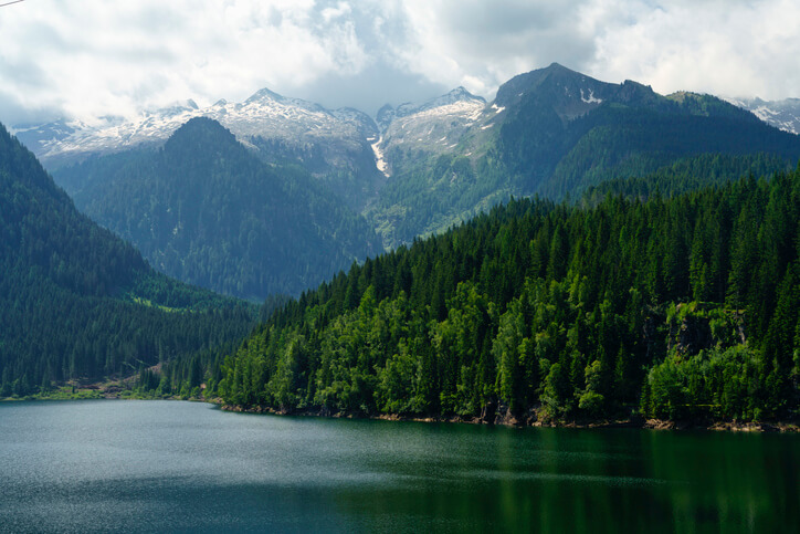 Boschi italiani: prevenire i rischi e valorizzare la filiera del legno