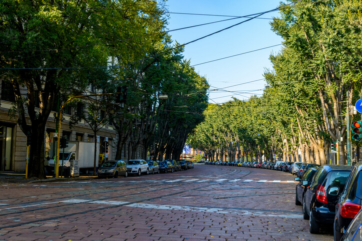 Perché a Milano non c’è abbastanza spazio per gli alberi? 12 milioni di euro del Pnrr persi