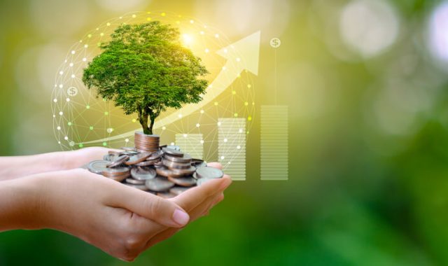 parametri esg e dva vantaggi e crescita per aziende albero green monete curva crescente
