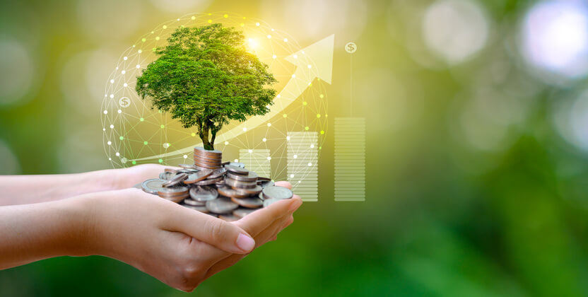 Crediti per la natura: uno strumento economico per un futuro biodiverso