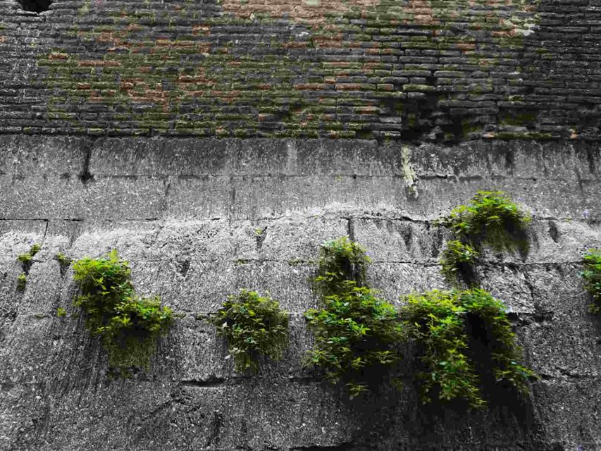 particolare torre garisenda