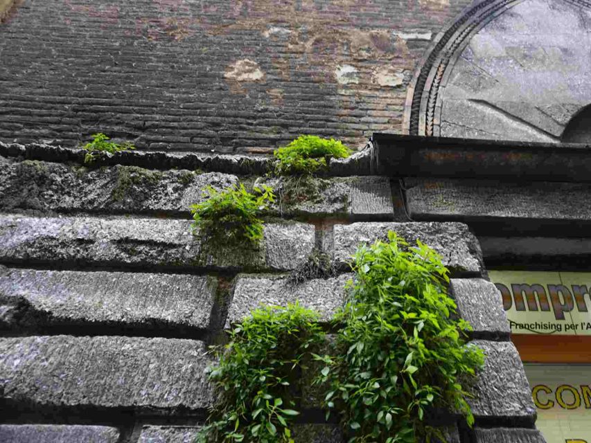 particolare basamento torre azzoguidi