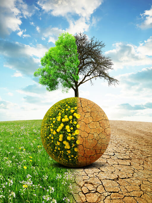 Il cambiamento climatico tra le preoccupazioni principali degli italiani