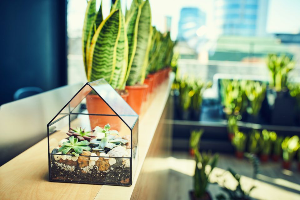 L’installazione della serra bioclimatica tra opportunità di efficientamento e rispetto delle normative