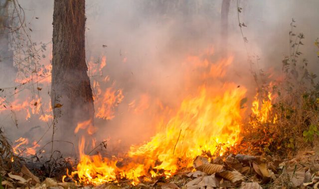 incendio rifiuti agricoli