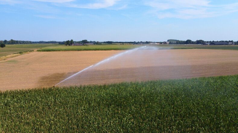 L’agricoltura biologica in Europa cresce, ma non abbastanza