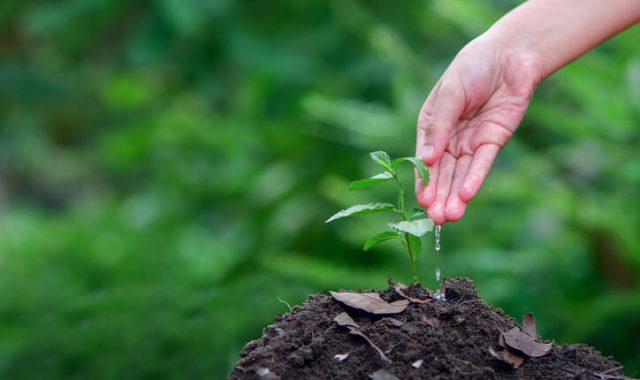 dissesto-idrogeologico