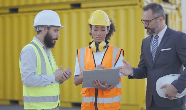 Professionisti tecnici nelle imprese italiane