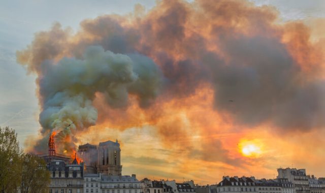 incendi california los angeles wildfires incendio notre dame de paris