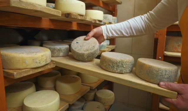 alimenti contaminati