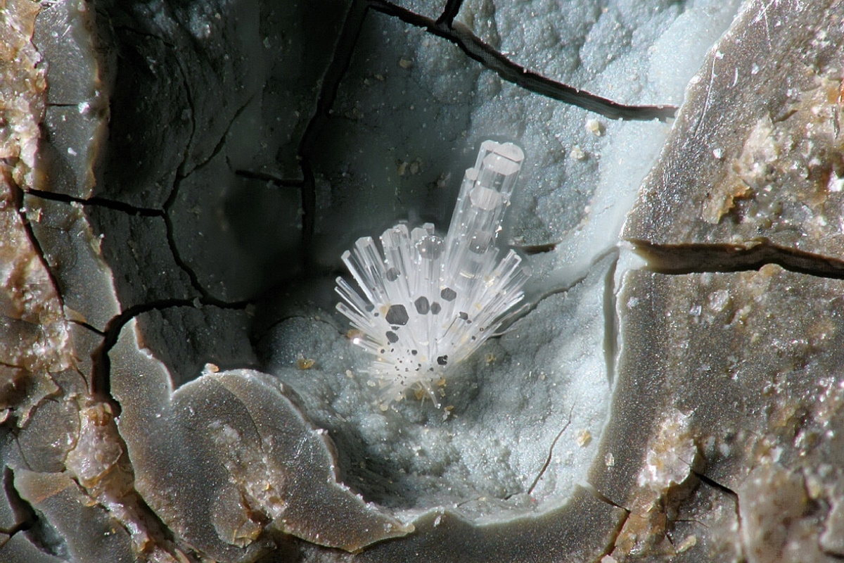 L’erionite è più pericolosa dell’amianto L’erionite è più pericolosa dell’amianto
